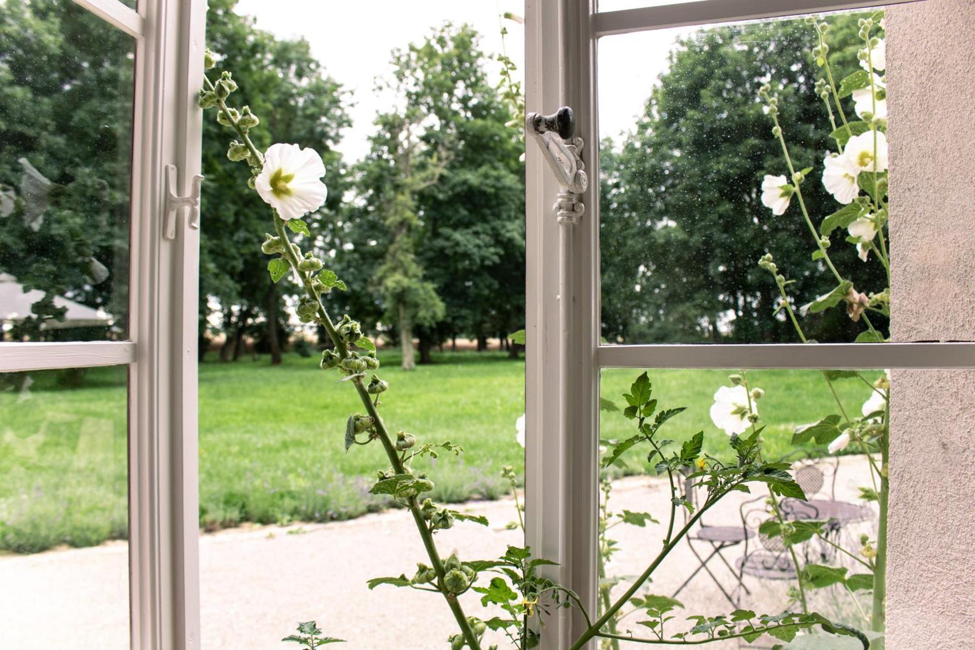 Ferienwohnung Gutshaus Zarchlin Barkhagen Zimmer foto